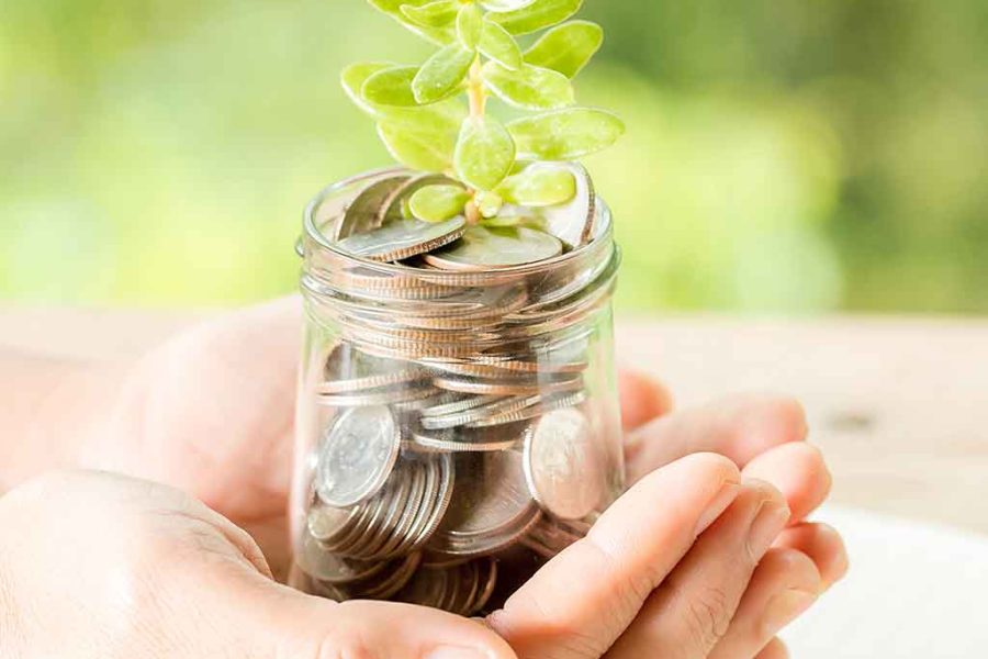 Due Diligence, Investment Advisory _ Business Restructuring Service
